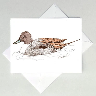 Pintail Note карта, утка - Изображение 1 из 2