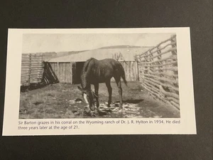 SIR BARTON 1934 photo Horse Racing 1919 TRIPLE CROWN - Picture 1 of 1