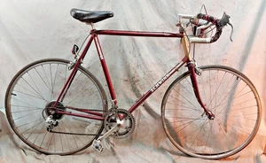 1984 Schwinn Traveler Touring Road Bike 64cm XXXLarge Lugged Steel Cafe Commuter - Picture 1 of 16