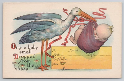 Tarjeta postal de fantasía anuncio de nacimiento antiguo para bebé envuelto cigüeña entrega Foto 1 de 4