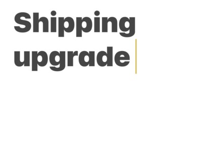 EXPRESS SHIPPING UPGRADE OPTION