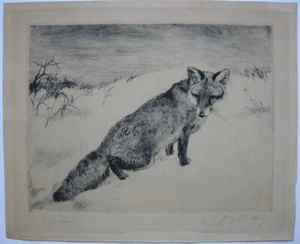 Kurt Meyer-Eberhardt (1895-1977) zorro en la nieve grabado sign alrededor de 1950 - Imagen 1 de 5