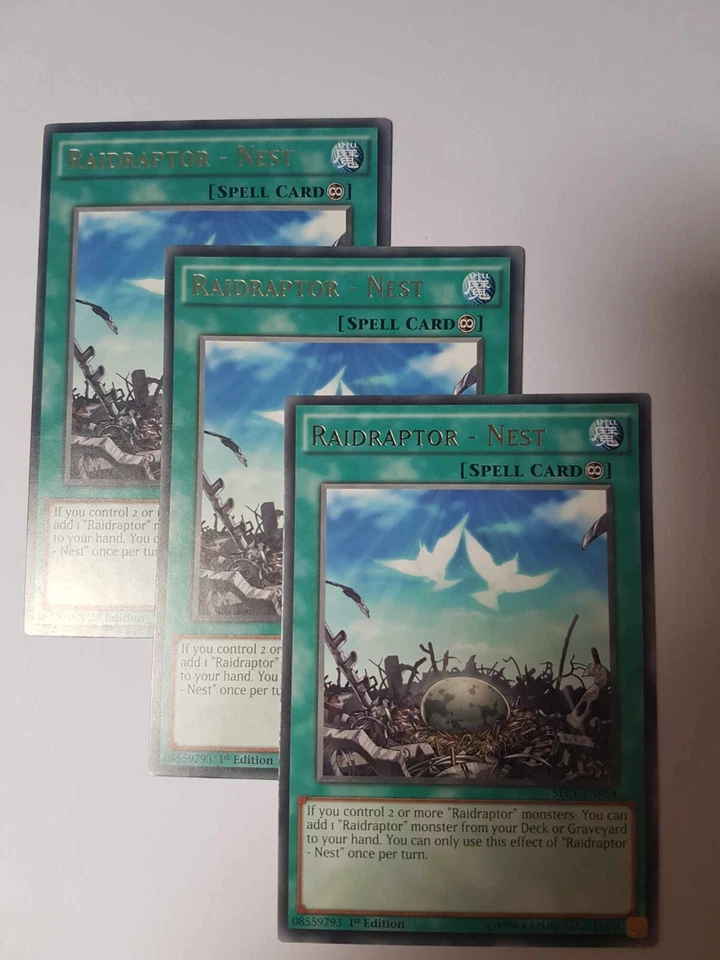 3 x Raidraptor's Nest (PLAYSET) RARE 1st Ed NM SECE-EN054 - Image 1 of 1