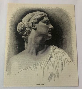 Grabado revista 1883 ~ ESPOSA LOTE - Imagen 1 de 1