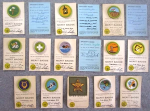 Lot of 12 Merit Badges on Original Card Star Rank Badge 1969-71 BSA (Group B) - Picture 1 of 5