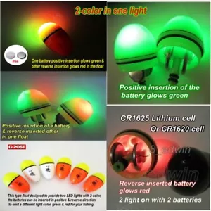 LED 2 light Electrical Ellipsoid Abo Night Fishing Float Warehou Bream Mackerel - Picture 1 of 12