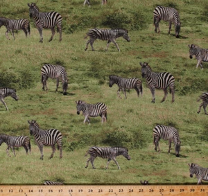 Zebras Animals Wildlife African Safari Savanna Cotton Fabric Print BTY D482.25 - Picture 1 of 1