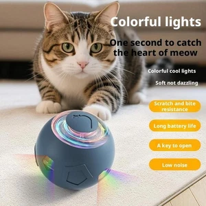 Juguetes de entrenamiento interactivos eléctricos automáticos para gatos y perros Fetch Ball - Imagen 1 de 10