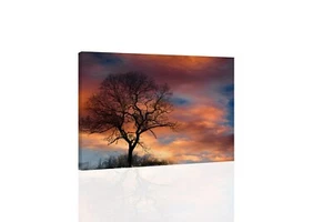 Dramatic Sky - ARTE DE PARED DE LIENZO O IMPRESIÓN - Imagen 1 de 2