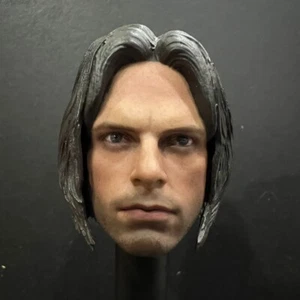 Hot Toys Mms351 Cap. Am. Cw Winter Soldier Head Sculpt 1/6 Scale Accessories - Picture 1 of 8