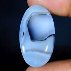 25.10Cts. Natural Unique Montana Agate Oval Cabochon Gemstone 34 X 19 X 05Mm.