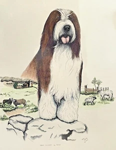 Vintage Bearded Collie Hund 11x14 farbiger Kunstdruck von Künstler Judy Young signiert - Bild 1 von 4