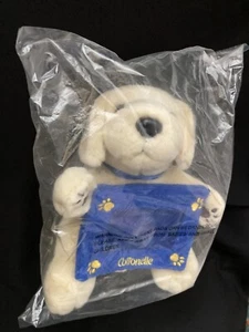 New Cottonelle Yellow Lab Puppy Dog Holding Photo Frame Plush Stuffed Animal 8" - Picture 1 of 5