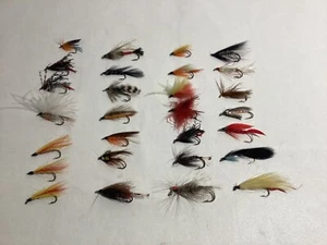 Lot of 28 Various Fly Fishing Flies - Various Sizes/Patterns - Picture 1 of 6