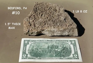 FOSSILES Gestein / Muscheln / Korallen / Crinoid / Brachiopoden / Bedford, PA / Devon  - Bild 1 von 3