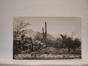 RPPC Saguaro & Cholla Kaktus, Ironwood Tree + unbenutztes echtes L. L. Cook EKC Foto AZ - Bild 1 von 6