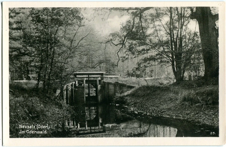 AK NEUSALZ /Oder Im Oderwald, Stauwehr 30er - Bild 1 von 1