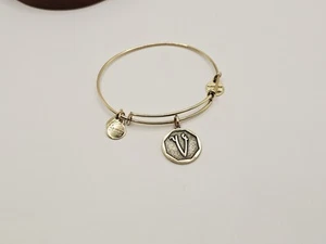 ALEX & ANI Gold " Initial V Monogram Charm Bangle Bracelet 🌞 - Picture 1 of 10