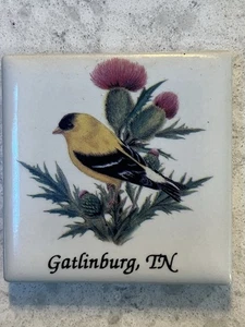 Vintage Souvenir Gatlinburg, Tennessee Refrigerator Magnet. (AL) - Picture 1 of 2