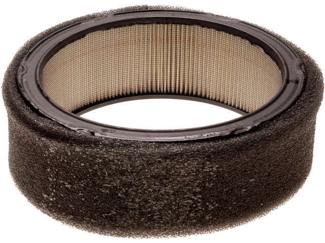 Filtro de ar AC Delco 72781CHKG Pontiac Grand LeMans 1980-1981 - Imagem 1 de 2