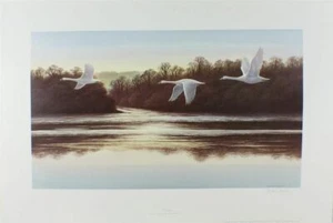 PRINT/ EVENING/ BY DAVID PARRY/ SIGNED EDITION/ONE OF A PAIR/ 61CMS X 35CMS/ - Picture 1 of 1