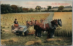 HARVEST FIELD NE ANTIQUE POSTCARD - Picture 1 of 2
