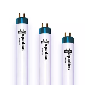 3 x iQuatics Aquarium Fish Tank Fluorescent Light Bulb T5, Purple, 39w 850mm 34" - Picture 1 of 6