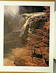 THE UPPER FALLS , BY BARBARA PEETS , ELK - Picture 1 of 2