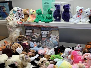 Posten Sammlerstücke Rentner TY Beanie Babys mit Buch, VHS und Erinnerungsstücken - Bild 1 von 24