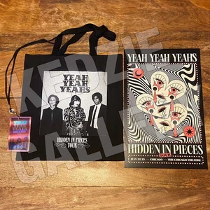 Yeah Yeah Yeahs 2025 Chicago Theatre SIGNIERT VIP Paket Poster Tragetasche Schlüsselband - Bild 1 von 9