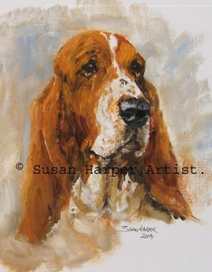 Basset Hound signierter Hundedruck von Susan Harper unmontiert - Bild 1 von 2
