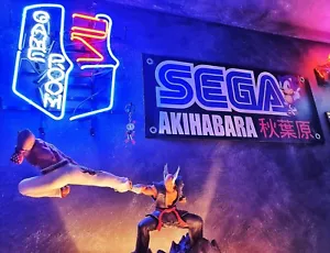Banner Sonic Akihabara 70x30cm (PVC) - Imagen 1 de 20