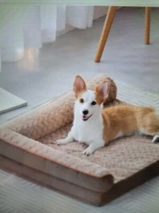 Dog Bed Orthopedic Memory Foam Waterproof Pet Sofa with Removable Bolster Cover - Picture 1 of 3