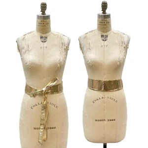 Vintage Whiting & Davis Gold Mesh Metal Leather Tie Wide Belt Womens SM/MED - Picture 1 of 10