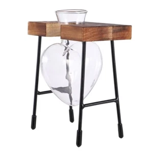 Hydroponische Vase Green Efeu Büro Kreativer Übertopf Aus Glas Blumenhalter - Bild 1 von 12
