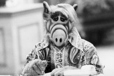 Alf Benji Gregory Stunning 18x24 Poster