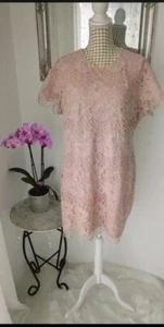💕 Spitzenkleid Gr. 50 Rosa Puderrosa Neu mit Etikett Hell Rosa - Bild 1 von 11