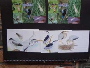 Singapore : 6 X MODERN PICTURE POST CARDS FEATURING BIRDS UN-USED - Picture 1 of 2