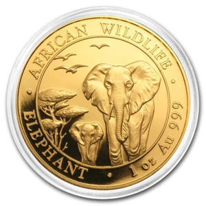 2015 Somalia Elephant Elefant 1 oz Goldmünze Gold Coin BU - NEW - under capsule - Bild 1 von 3