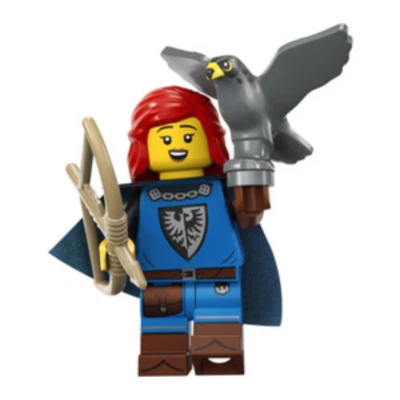 LEGO CMF Serie 24 col24-5 Falconer Foto 1 de 2