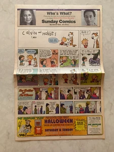 Sección de cómics dominicales de Detroit News and Free Press, 9 de octubre de 1994 - Imagen 1 de 2