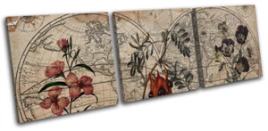 Botanische Blumen Shabby Chic Vintage VOLL LEINWAND WANDBILD Bild Druck - Bild 1 von 1