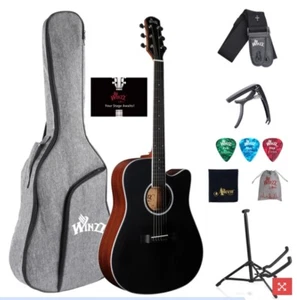 WINZZ AFM485 or AFM485CE Acoustic or Acoustic/Electric Guitar FREE SHIPPING! - Picture 1 of 12