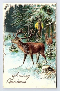C1911 Vintage Christmas Gilted Postcard, Deer in Moonlit Forest - Picture 1 of 2