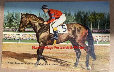 Horse Racing~Citation~Hialeah~Miami ~ Kentucky Derby~Linen Postcard Old Postcard Cover