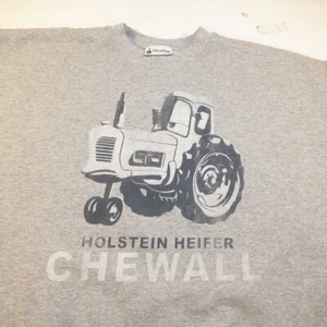 VINTAGE DISNEY PARKS DISNEYLAND HOLSTEIN HEIFER CHEWALL CARS LAND SWEATSHIRT L - Picture 1 of 5