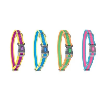 Adjustable Reflective Pro Dog Collar EACH Bright Sporty Colors 4 Size & Color - Image 1 of 4