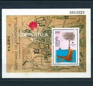 ESPAÑA 1993—HB SANTIAGO DE COMPOSTELA 3258—BLOC FEUILLET 60 - Imagen 1 de 1