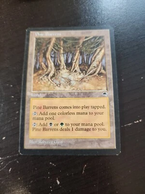 Pine Barrens [Tempest] Magic MTG m13 - Image 1 of 2