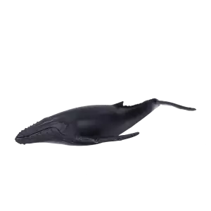 Mojo HUMPBACK WHALE plastic animal sea toy figure model fish bath marine - Foto 1 di 6